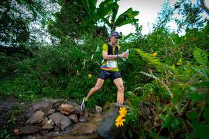 BIB: 1021
                            <button type="button" onclick="openModal(15974563)" class="btn btn-primary btn-sm float-right btn-popup" data-toggle="modal" data-target=".modal-high-quality">
                        <i class="fas fa-shopping-cart"></i> Add to Cart
                    </button>
                                            <button type="button" onclick="isThisMe(15974563, true)" class="btn btn-success btn-sm float-right btn-popup btn-isme hidden" data-toggle="tooltip" data-placement="bottom" title="นี่คือรูปของคุณใช่ไหม คลิกที่นี่เพื่อเอาเข้าอัลบั้ม">
                        <i class="fas fa-plus"></i> Add to album
                    </button>
                    <button type="button" onclick="isThisMe(15974563, false)" class="btn btn-warning btn-sm float-right btn-popup btn-isnotme hidden">
                        <i class="fas fa-ban"></i> Remove from album
                    </button>